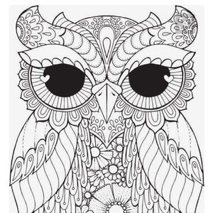 Meet your Posher, Brandi